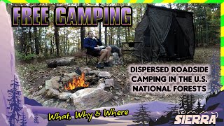 Free Camping in the US National Forests The What Why amp Where to dispersed roadside camping [upl. by Liuqa]