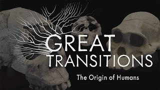 Great Transitions The Origin of Humans — HHMI BioInteractive Video [upl. by Kroy]