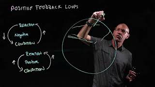 Positive feedback loops and global warming [upl. by Ari23]