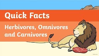 Quick Facts Herbivores Omnivores and Carnivores Video [upl. by Eelessej591]