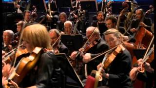 SaintSaëns  Symphony No 3 in C minor Op 78  Järvi [upl. by Nylodnew]