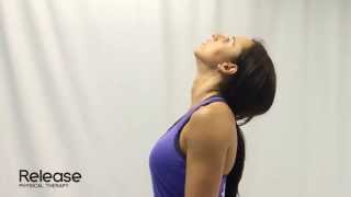 Cervical Spine Retraction amp Extension  McKenzie Exercise for Neck [upl. by Enisaj]