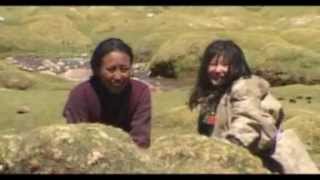 Ladakh Ladakhi Movie Song Delwa Ldem Ldem Spang Tang [upl. by Inaffyt]