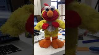 Chicken Dance With Elmo Sesame Street [upl. by Guibert]