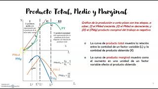 Tema 41  Producto Total  Producto Medio y Marginal [upl. by Lladnik]