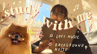 3 Hour STUDY WITH ME  LOFI MUSIC amp Background Noises [upl. by Lerrud]