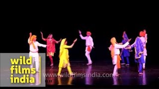 Traditional Dogri dance of Jammu and Kashmir [upl. by Ttirrej]