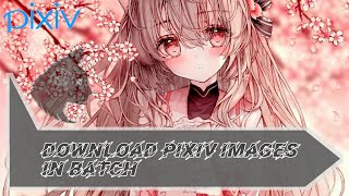 How to Download Pixiv Images in Batch [upl. by Ynffit]