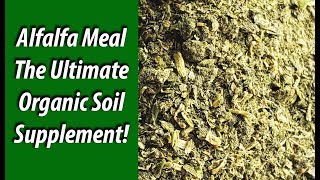 Alfalfa Meal The Ultimate Organic Soil Supplement [upl. by Nivrad37]