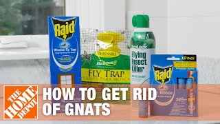 How to Get Rid of Gnats  DIY Pest Control  The Home Depot [upl. by Fedak787]