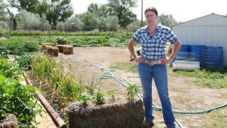 Alfalfa Bale Gardening  From the Ground Up [upl. by Obaza404]