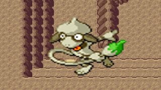 How to find Smeargle in Pokemon Emerald [upl. by Brodsky485]