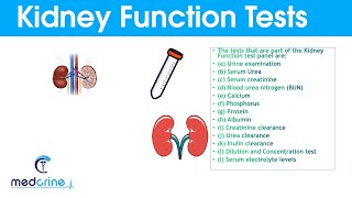 Kidney Function Tests and Interpretation of Results [upl. by Aztiray]