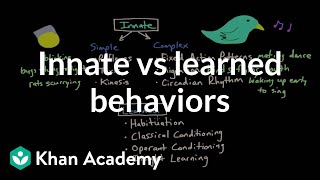 Operant conditioning Innate vs learned behaviors  Behavior  MCAT  Khan Academy [upl. by Notnelc]