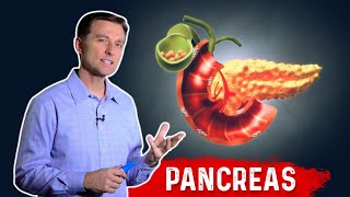 The Function Of Pancreas amp Pancreatitis – Dr Berg on Pancreatic Insufficiency [upl. by Materse]