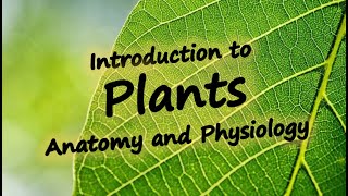 Introduction to Plant Anatomy and Physiology [upl. by Motch146]