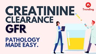 Creatinine Clearance in under 5 mins l GFR l Pathology Made Easy [upl. by Rothmuller]