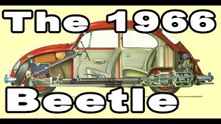 Classic VW BuGs The 1966 Beetle Features and One Year Options [upl. by Eus]