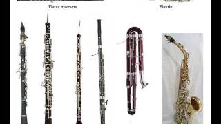 Instrumentos Musicales [upl. by Gard]