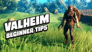 The Valheim Viking Guide For Beginners [upl. by Myles205]