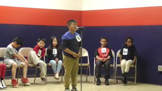 2019 Spelling Bee 3rd Grade [upl. by Anerol620]