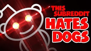 This Subreddit HATES DOGS [upl. by Cob]