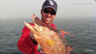 How to catch Hogfish 101  pt 1 Introduction [upl. by Yartnoed]