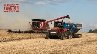 Case IH 9240 AxialFlow Combines Harvesting Soybeans [upl. by Eaton]