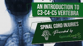 C3 C4 C5 Definitions Cervical Spinal Cord Injury Symptoms Causes Treatments and Recovery [upl. by Sadnak]