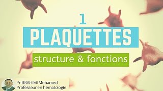 PLAQUETTES  structure et fonctions 1 [upl. by Tirrej]