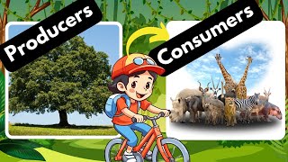 Producers and Consumers Herbivores Carnivores and Omnivores [upl. by Lyrad]