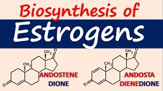 Estrogens  Biosynthesis and chemical synthesis [upl. by Thisbe]