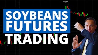 Soybeans Futures Trading Discover these WellPerforming Strategies [upl. by Kiran427]