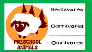 Herbivore Carnivore Omnivore Animals [upl. by Nahttam]