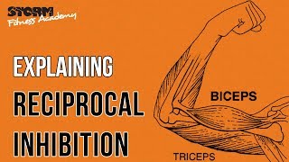 Reciprocal inhibition  Storm Fitness Academy [upl. by Arted]