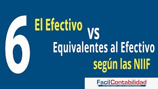 El Efectivo y los Equivalentes al Efectivo según las NIIF [upl. by Wetzell513]