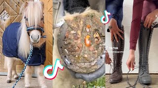 The Best HORSE TikTok Compilation 36 [upl. by Norene]