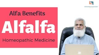 Alfalfa Homeopathic Medicine URDU  What is Alfalfa Tonic Alfa Benefits amp Uses [upl. by Daffy344]