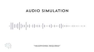 Auditory Processing Disorder Simulation [upl. by Fulcher846]