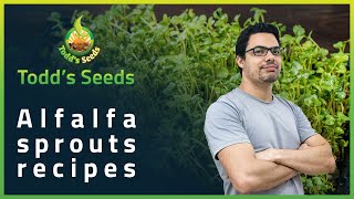 Alfalfa Sprouts Recipes [upl. by Mandle]