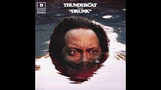 Thundercat  Them Changes [upl. by Zephan802]