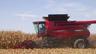 Case IH Narrow Row Corn Head [upl. by Heddie]