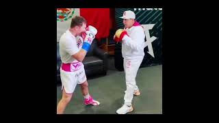 Canelo Alvarez vs Billy Joe Saunders  Speed Comparison [upl. by Nalra]