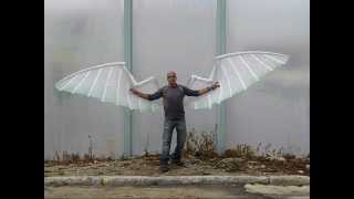 Mechanical wings by Liad Gordon [upl. by Nuavahs]