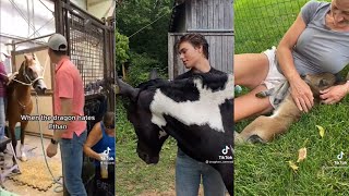 Horse Videos That Went Viral 2 [upl. by Rodman]