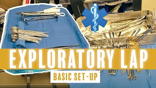 LAPAROSCOPIC RADICAL NEPHRECTOMY PROCEDURE OVERVIEW [upl. by Ardnuasal331]