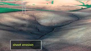 Types of Erosion Explained [upl. by Schug457]