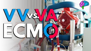 VV vs VA ECMO Explained [upl. by Ovatsug934]