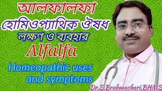 Alfalfa benefits  alfalfa Q  alfalfa homeopathic medicine uses in bengali language [upl. by Annahgiel]