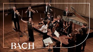 Bach  Vivace from Concerto for two violins BWV 1043  Netherlands Bach Society [upl. by Naoh]